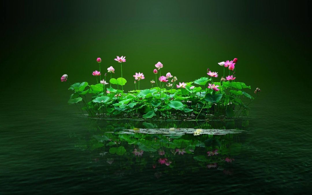 Il Potere Terapeutico del Respiro