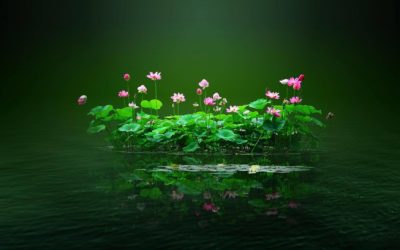 Il Potere Terapeutico del Respiro