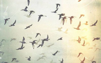 Libertà e destino nella psicologia moderna e nella saggezza dell’Oriente