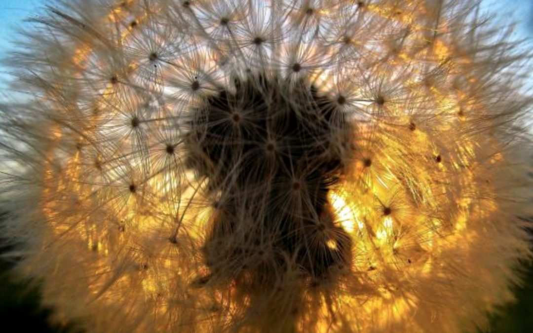 Respirazione: il piacere di essere vivi